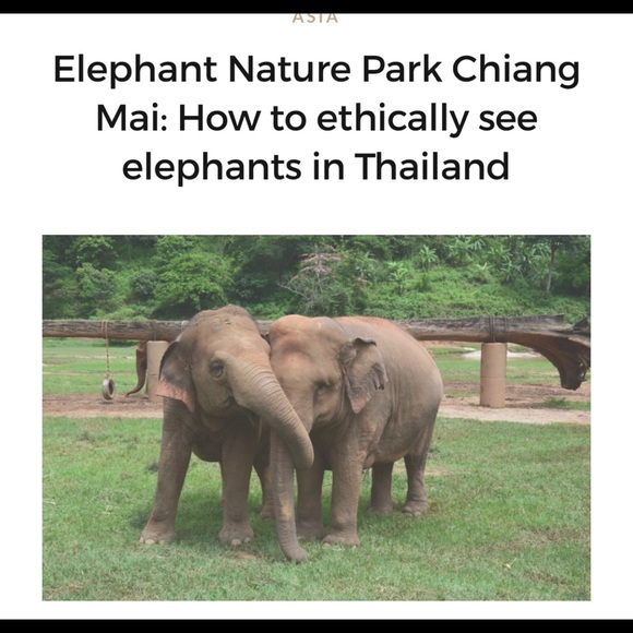 Meet your Posher, Sarah - Picture 1 of 2